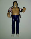 Captain Lou Albano WWE Wrestling Action Figure - We Got Character Toys N More