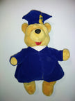 Winnie The Pooh Graduation Graduate Plush - We Got Character Toys N More