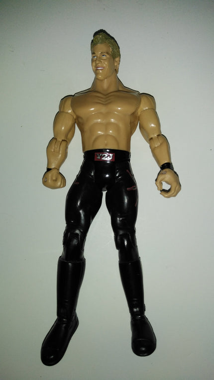 Chris Jericho WWE Wrestling Action Figure - We Got Character Toys N More